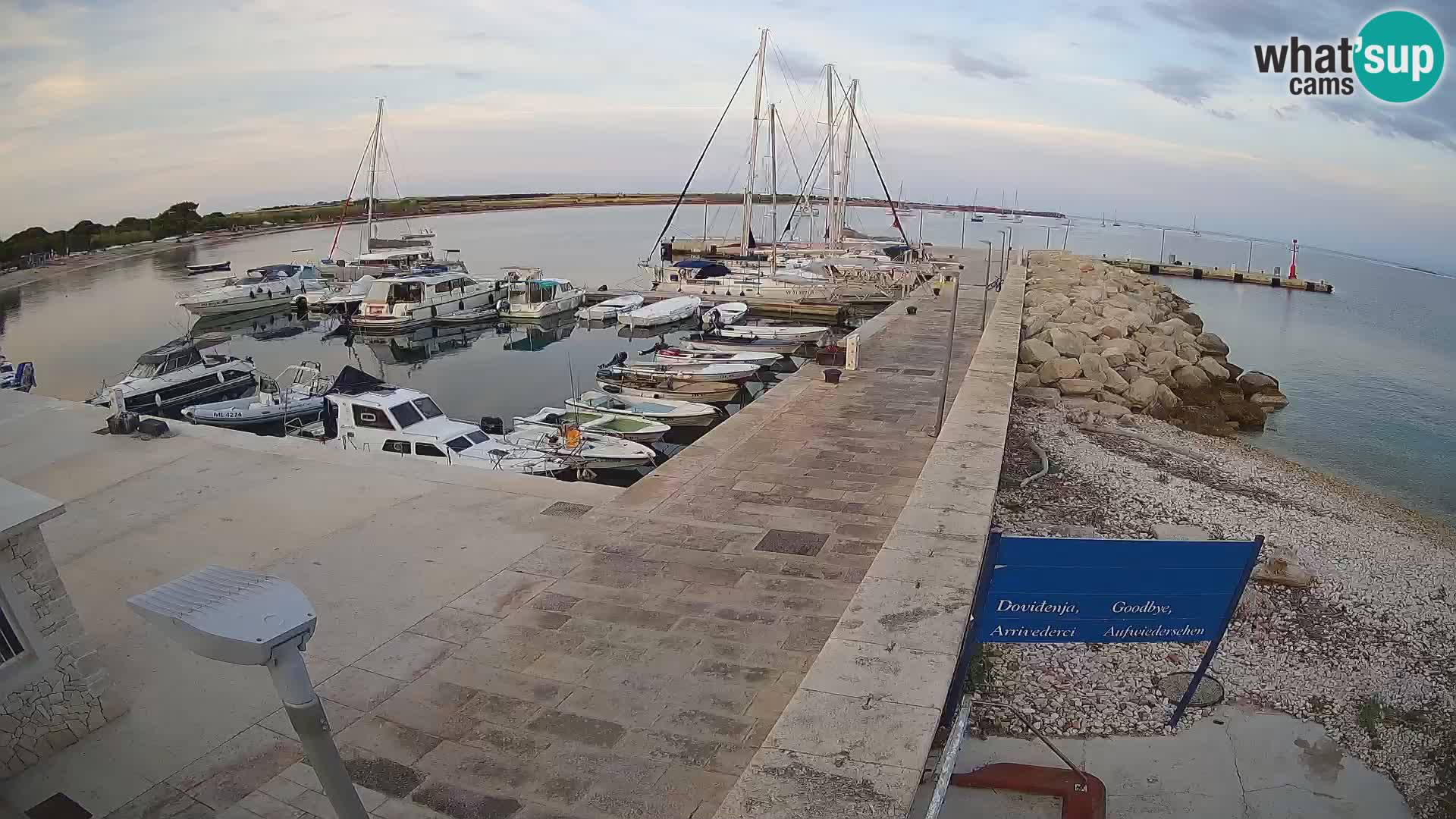 Cámara web de la isla de Unije: explore la belleza de la joya escondida de Croacia