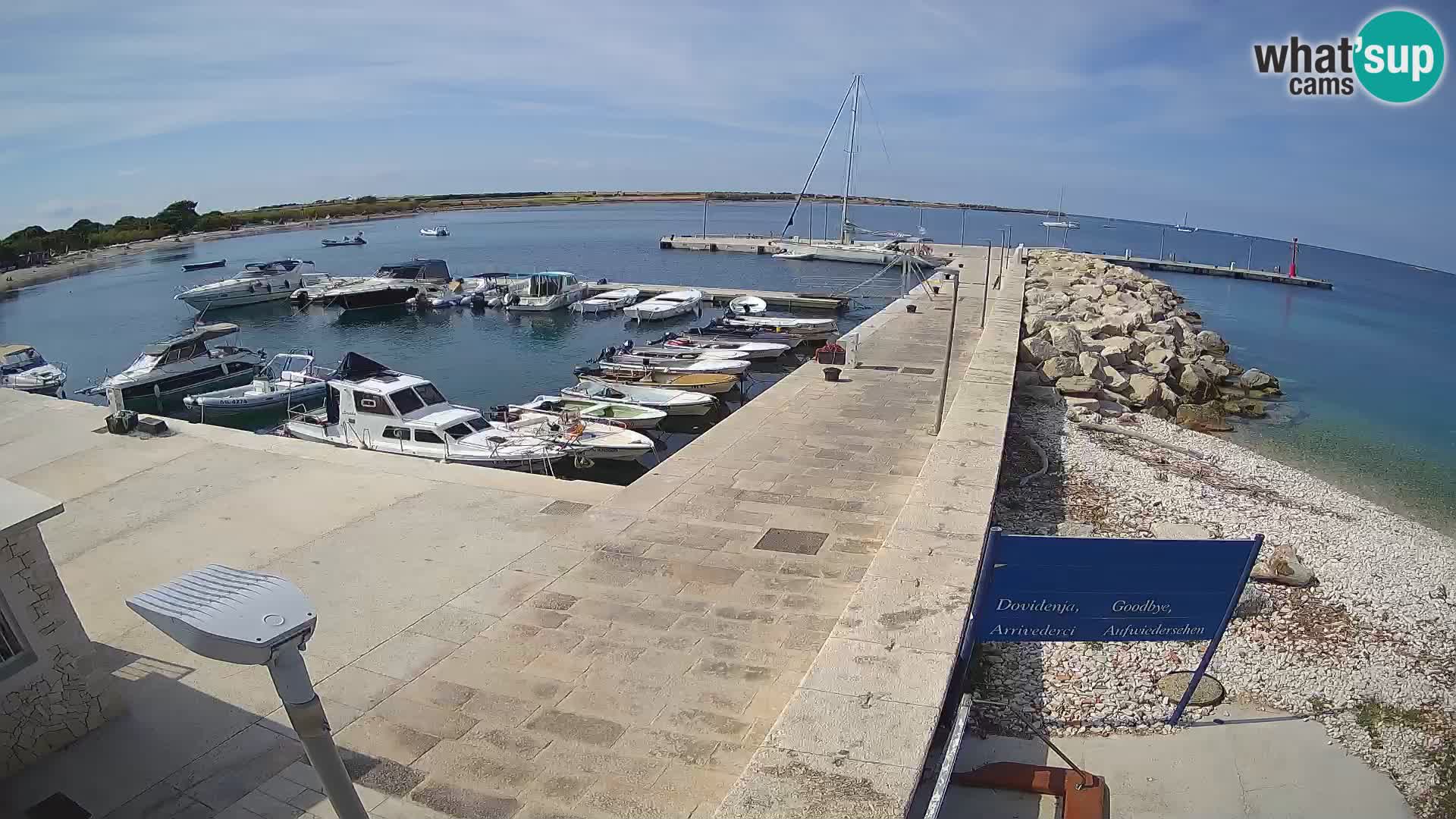 Cámara web de la isla de Unije: explore la belleza de la joya escondida de Croacia
