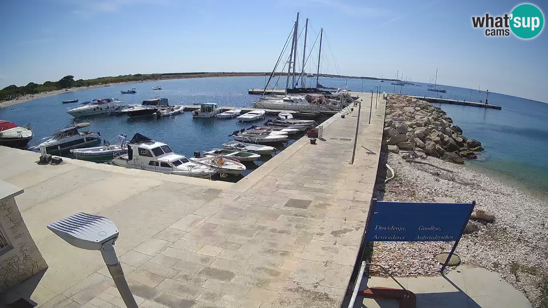 Webcam Isola di Unije – Esplora la bellezza della gemma nascosta della Croazia