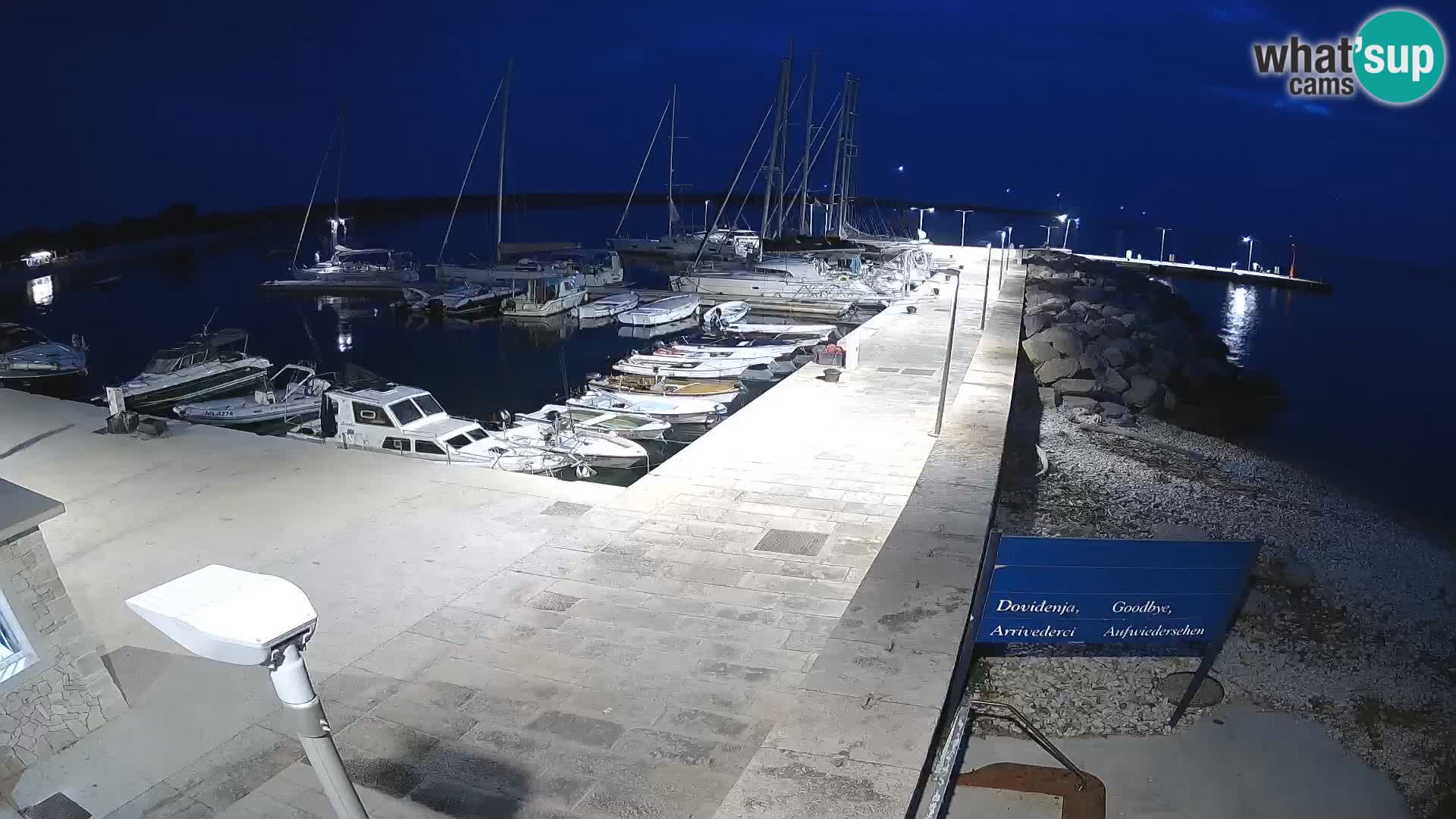 Webcam Isola di Unije – Esplora la bellezza della gemma nascosta della Croazia