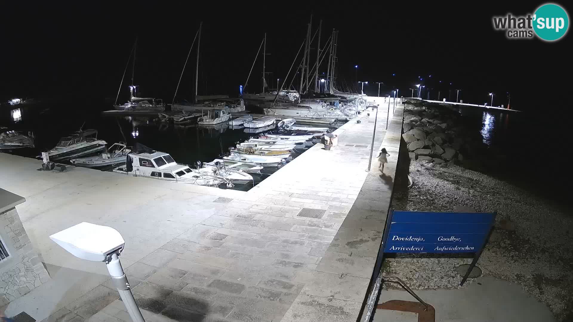 Webcam de l’île d’Unije – Explorez la beauté du joyau caché de la Croatie