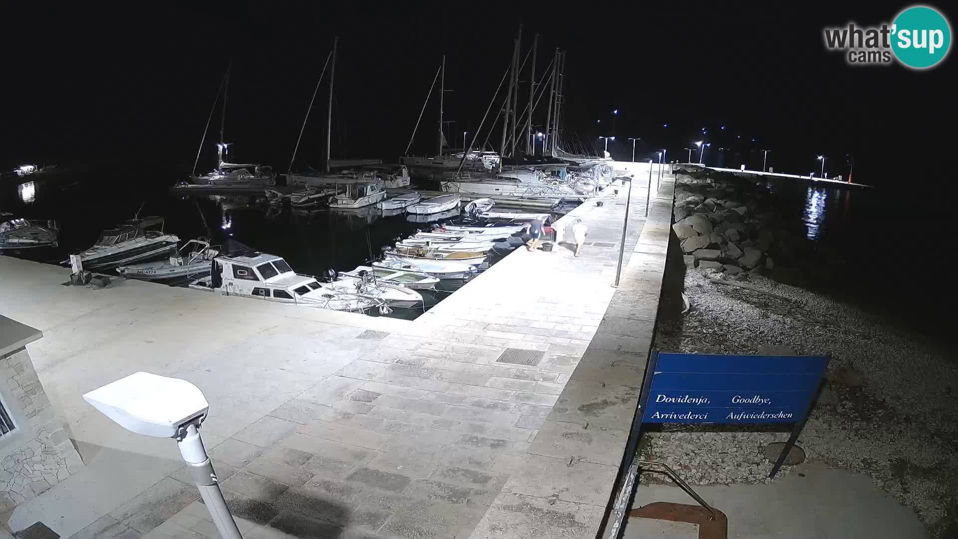 Insel Unije Webcam – Entdecken Sie die Schönheit von Kroatiens verstecktem Juwel