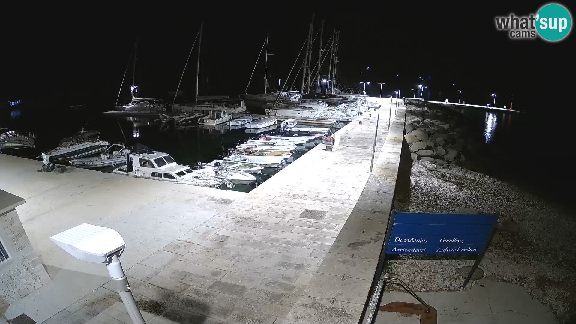 Cámara web de la isla de Unije: explore la belleza de la joya escondida de Croacia