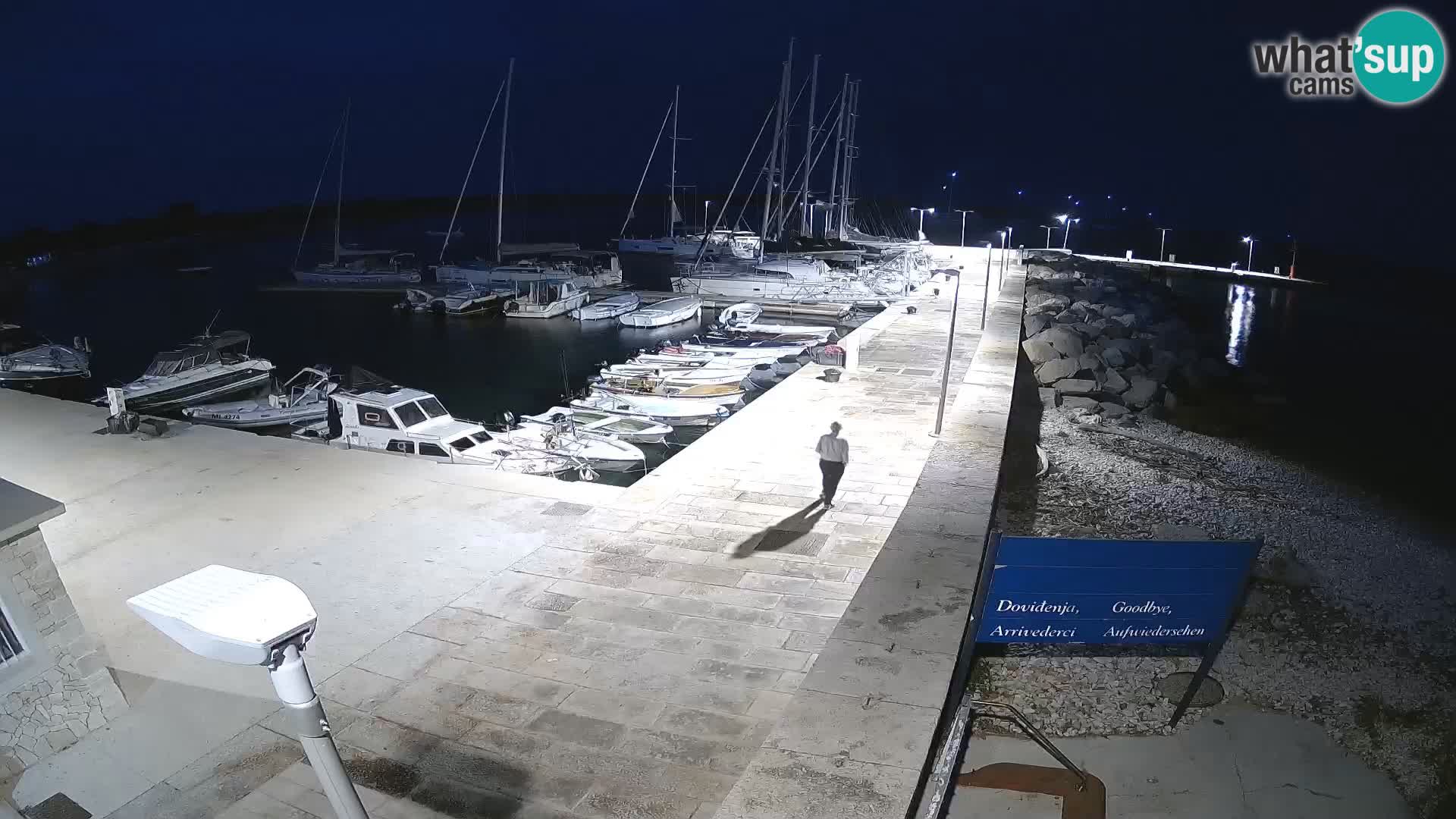 Webcam de l’île d’Unije – Explorez la beauté du joyau caché de la Croatie