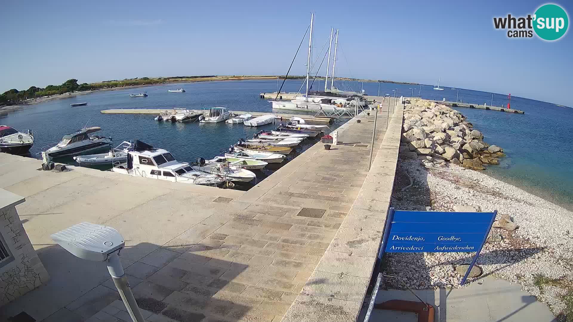 Cámara web de la isla de Unije: explore la belleza de la joya escondida de Croacia