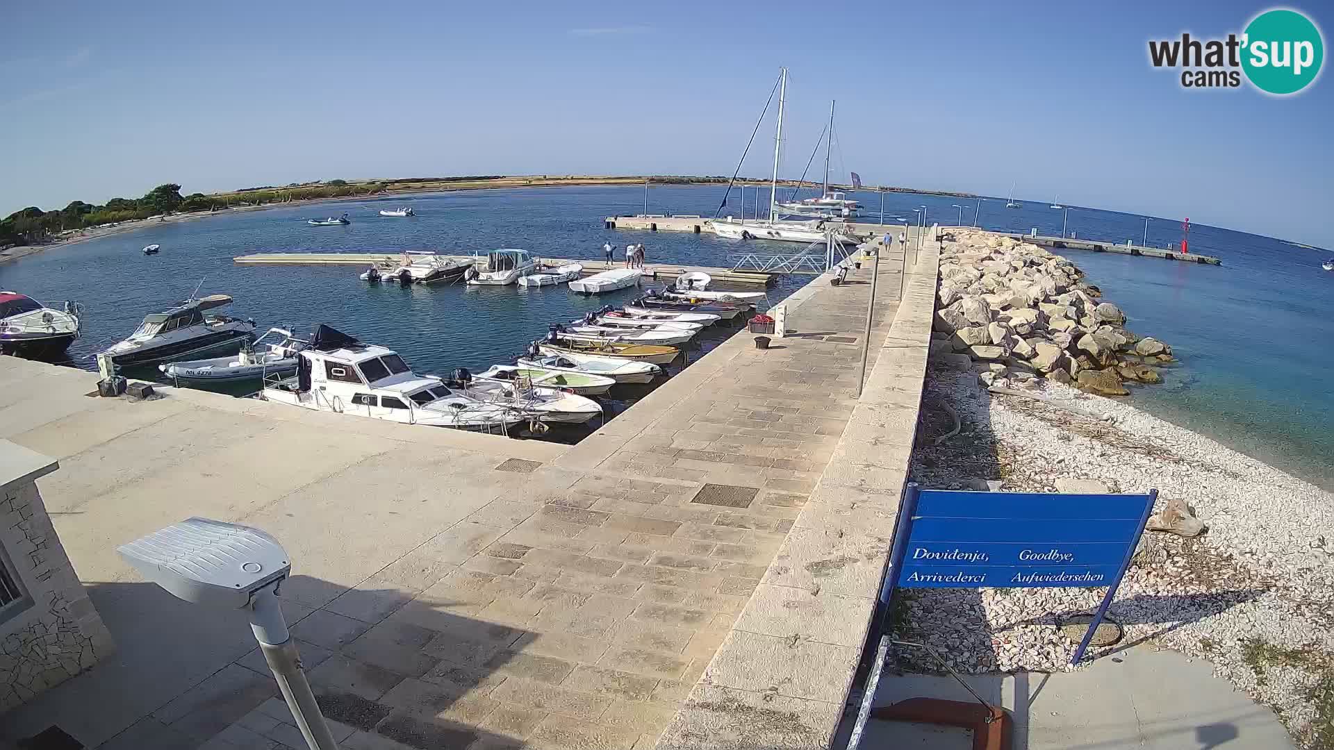 Cámara web de la isla de Unije: explore la belleza de la joya escondida de Croacia