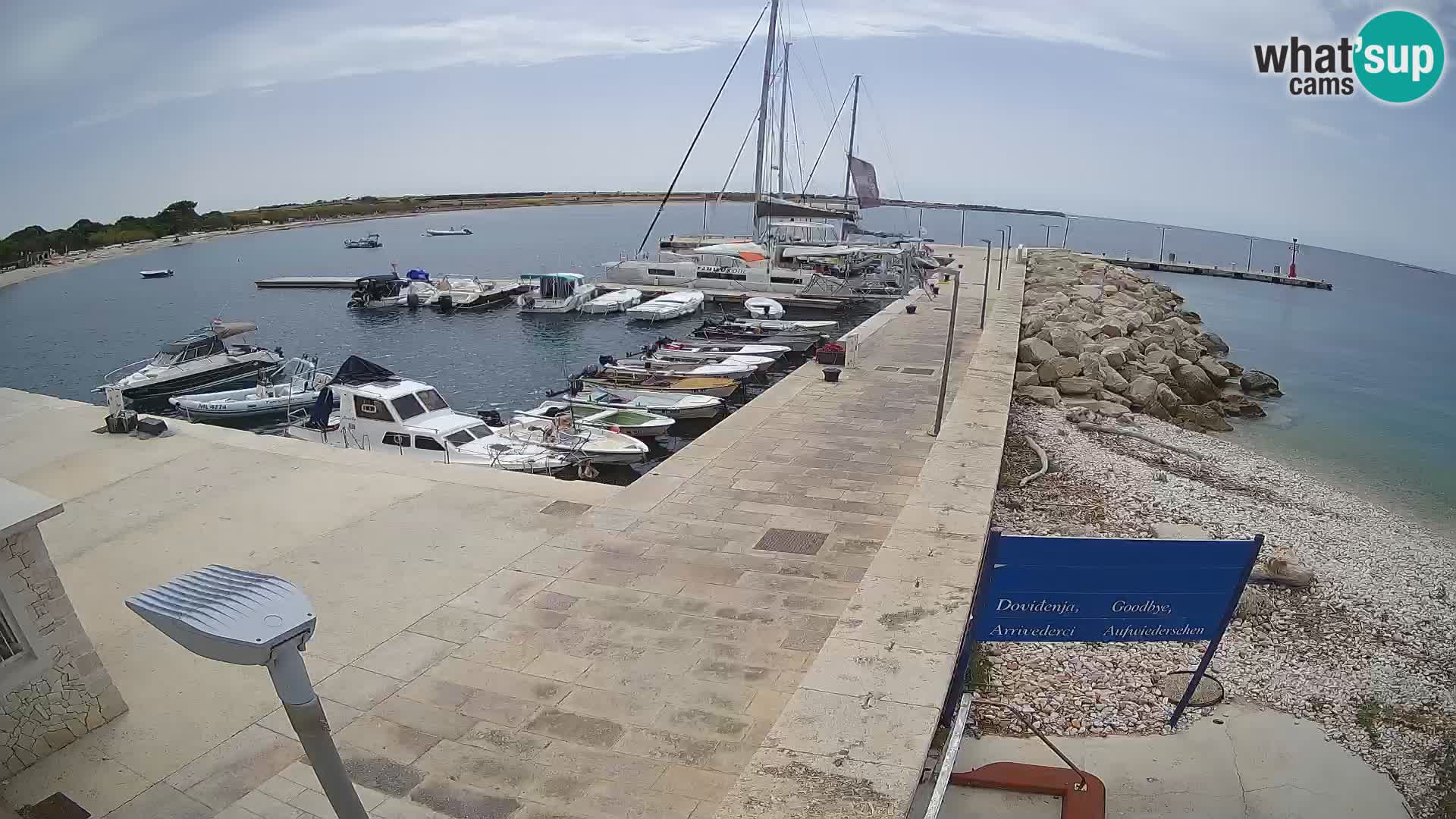 Cámara web de la isla de Unije: explore la belleza de la joya escondida de Croacia
