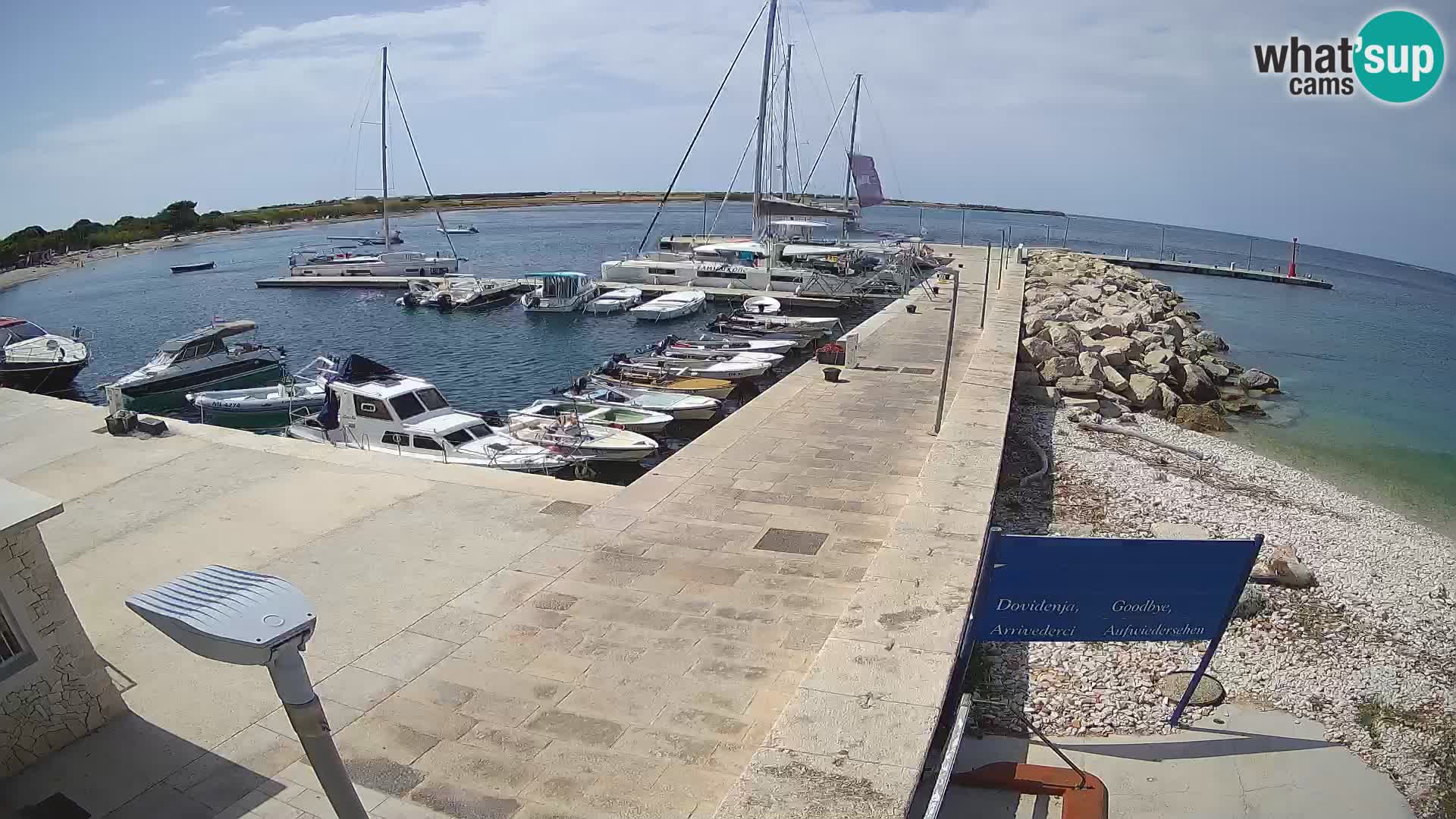 Cámara web de la isla de Unije: explore la belleza de la joya escondida de Croacia