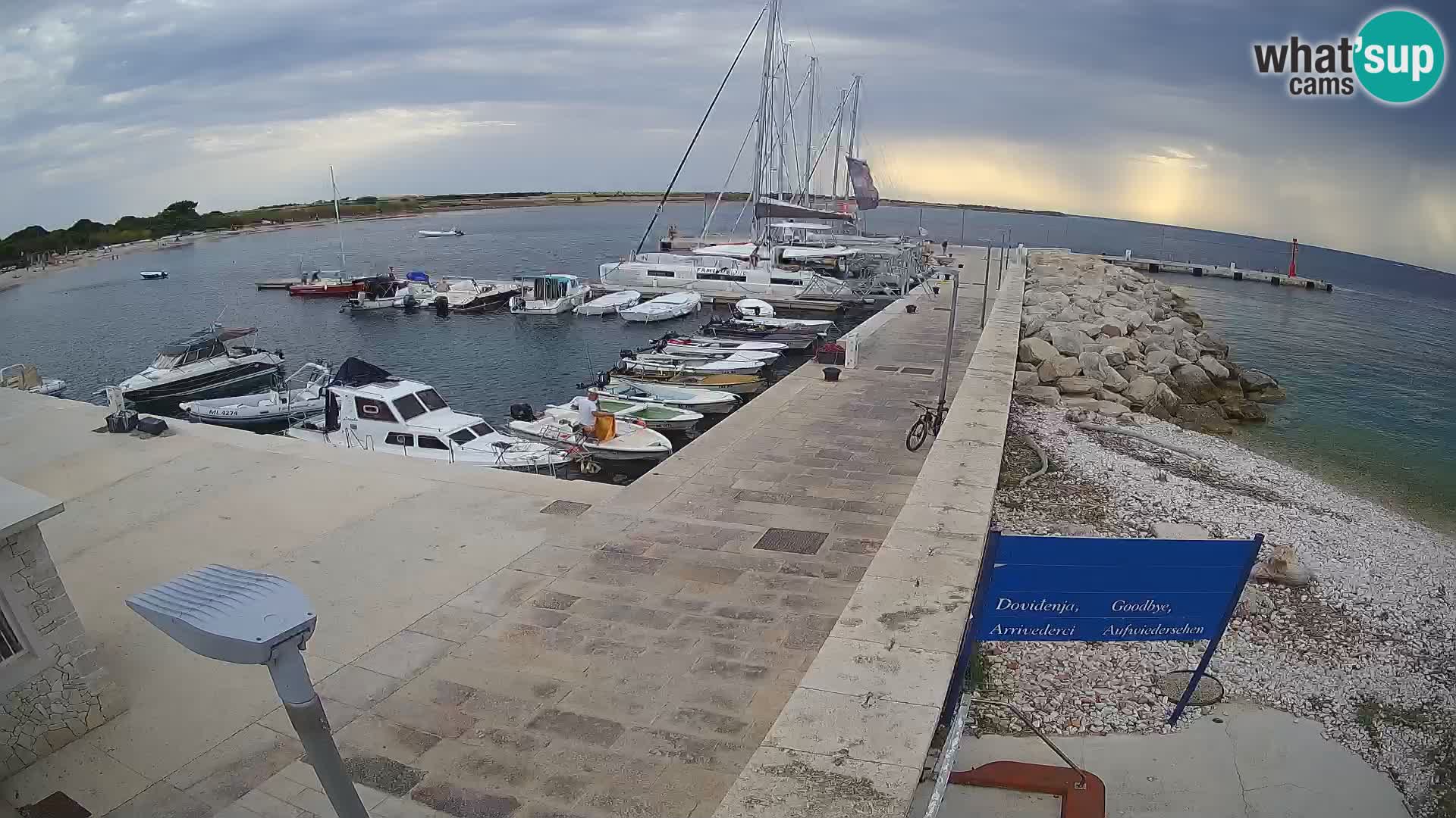 Cámara web de la isla de Unije: explore la belleza de la joya escondida de Croacia