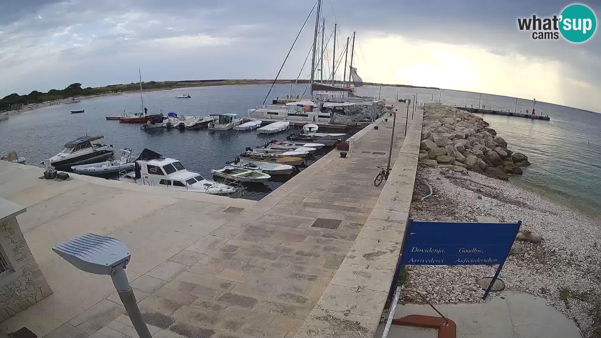 Cámara web de la isla de Unije: explore la belleza de la joya escondida de Croacia
