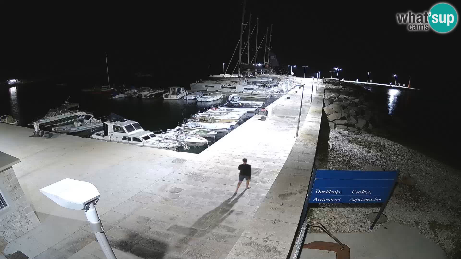 Webcam de l’île d’Unije – Explorez la beauté du joyau caché de la Croatie