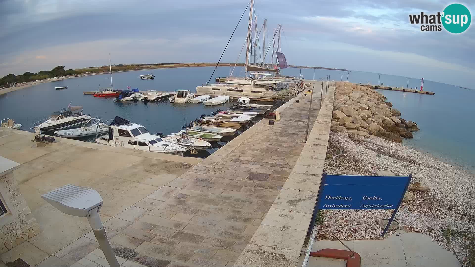 Cámara web de la isla de Unije: explore la belleza de la joya escondida de Croacia