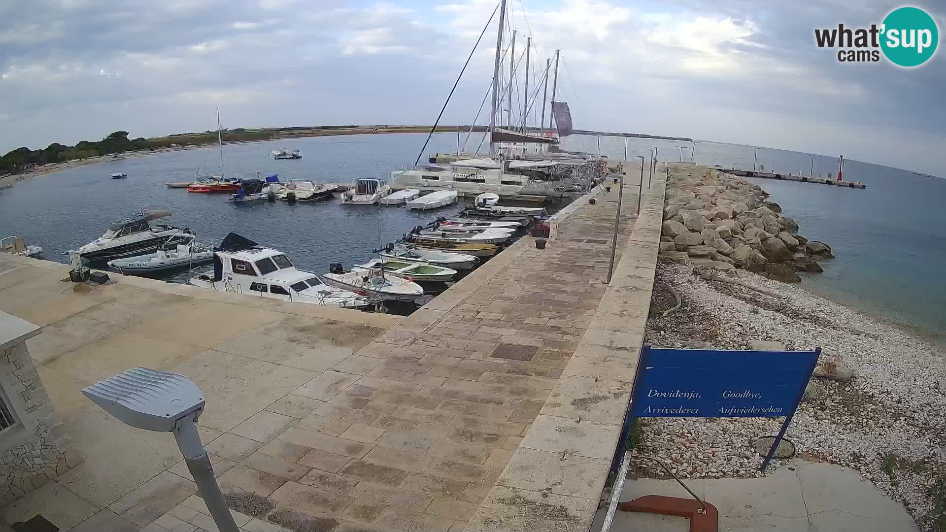 Cámara web de la isla de Unije: explore la belleza de la joya escondida de Croacia