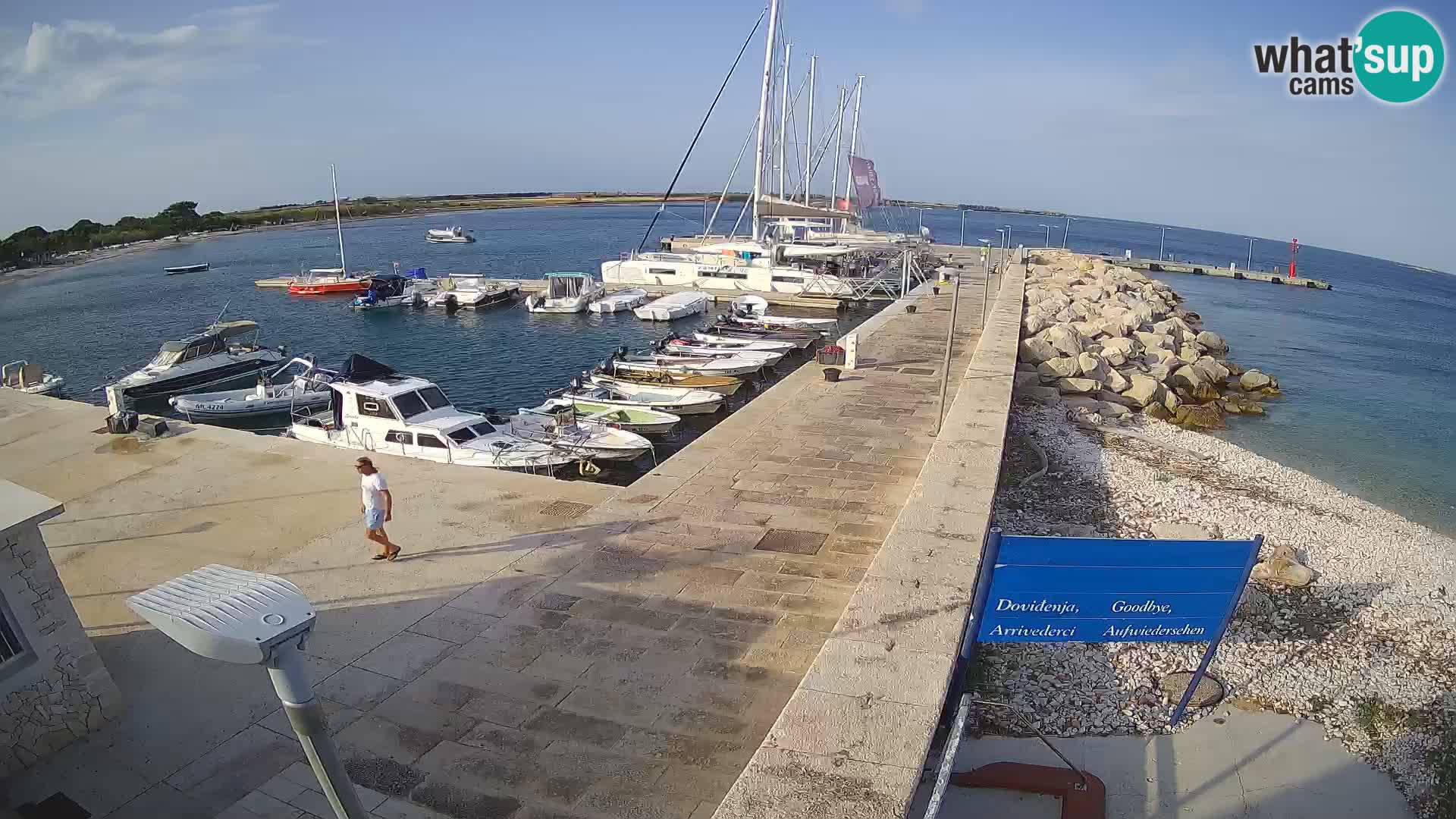 Cámara web de la isla de Unije: explore la belleza de la joya escondida de Croacia