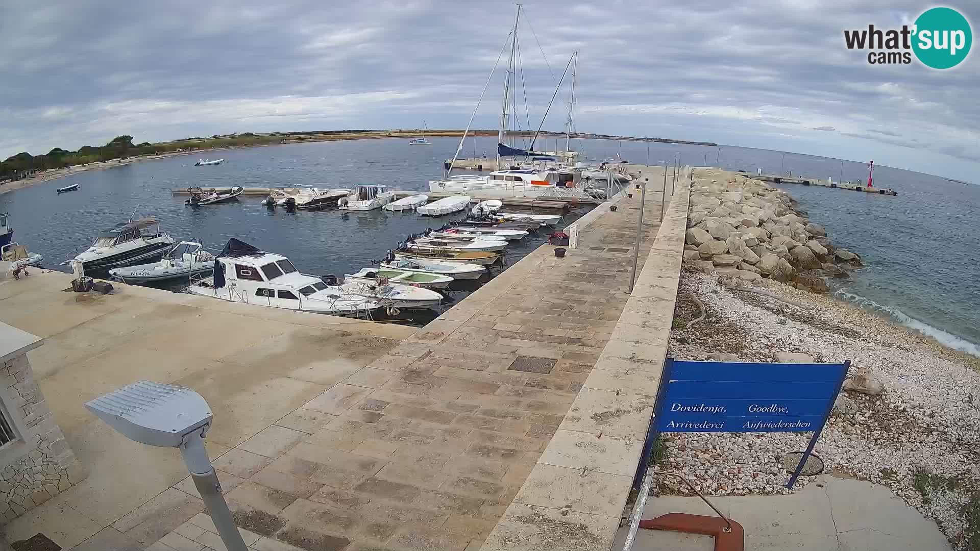 Cámara web de la isla de Unije: explore la belleza de la joya escondida de Croacia