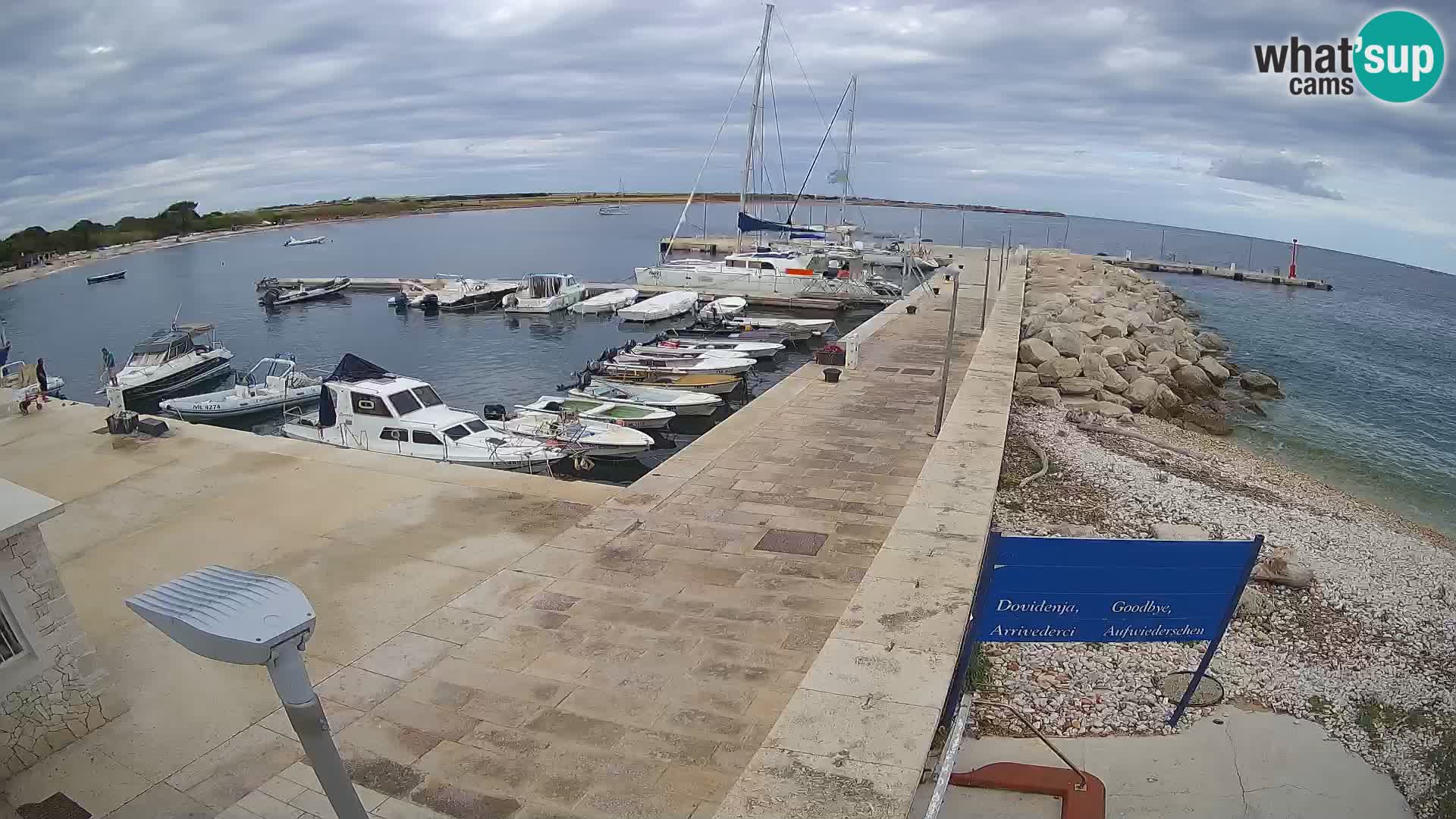 Cámara web de la isla de Unije: explore la belleza de la joya escondida de Croacia