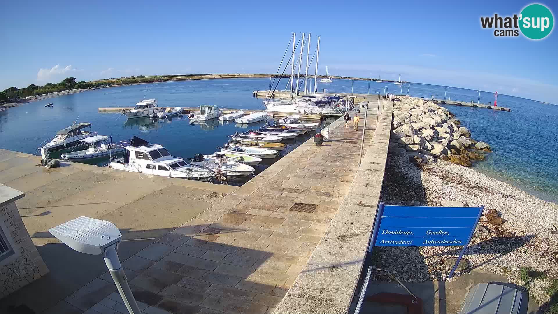 Webcam Isola di Unije – Esplora la bellezza della gemma nascosta della Croazia