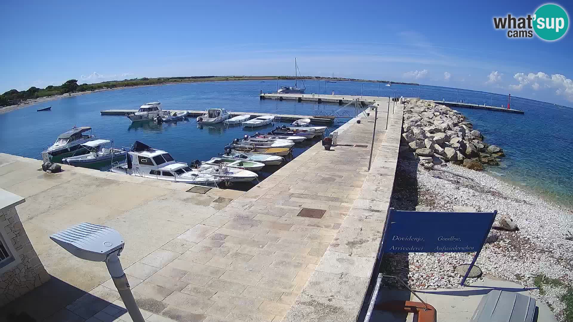 Cámara web de la isla de Unije: explore la belleza de la joya escondida de Croacia