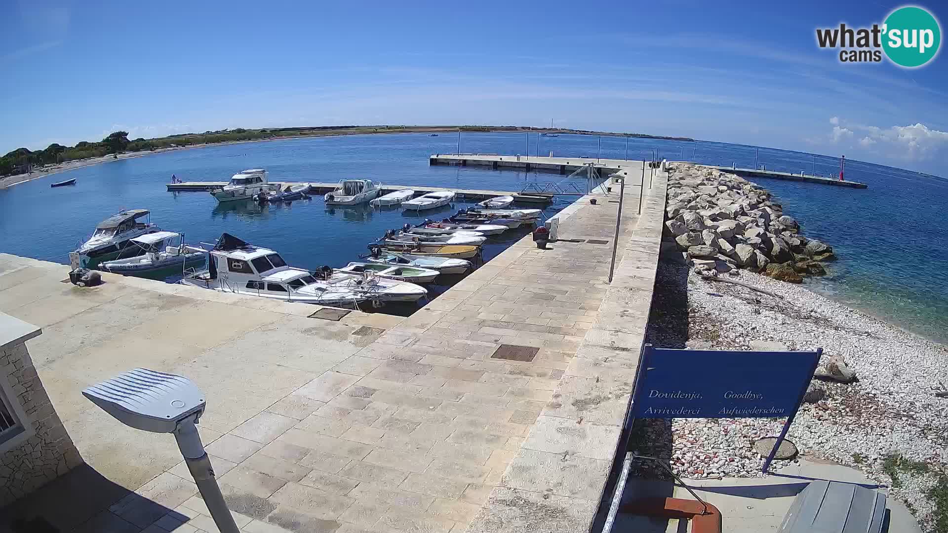 Webcam Isola di Unije – Esplora la bellezza della gemma nascosta della Croazia