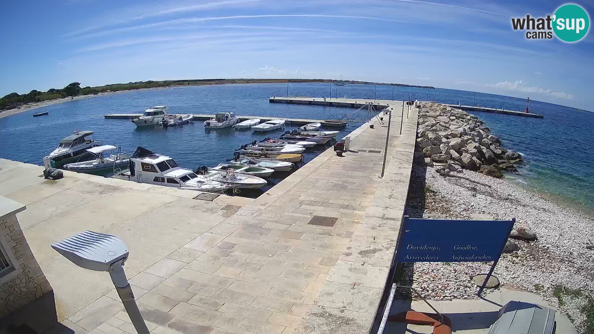 Webcam de l’île d’Unije – Explorez la beauté du joyau caché de la Croatie