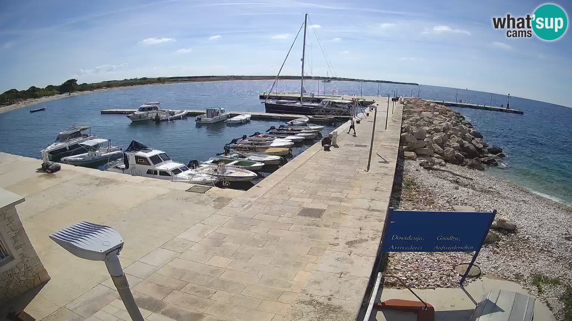 Cámara web de la isla de Unije: explore la belleza de la joya escondida de Croacia