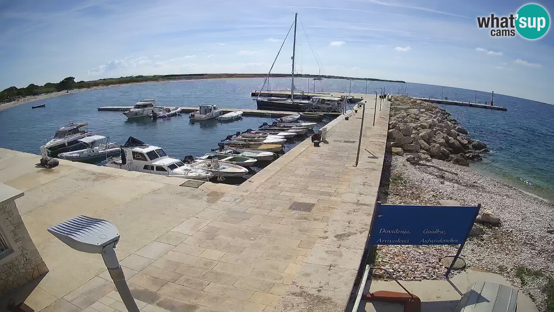 Cámara web de la isla de Unije: explore la belleza de la joya escondida de Croacia