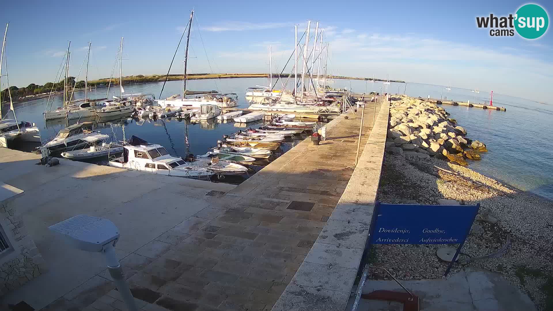Cámara web de la isla de Unije: explore la belleza de la joya escondida de Croacia