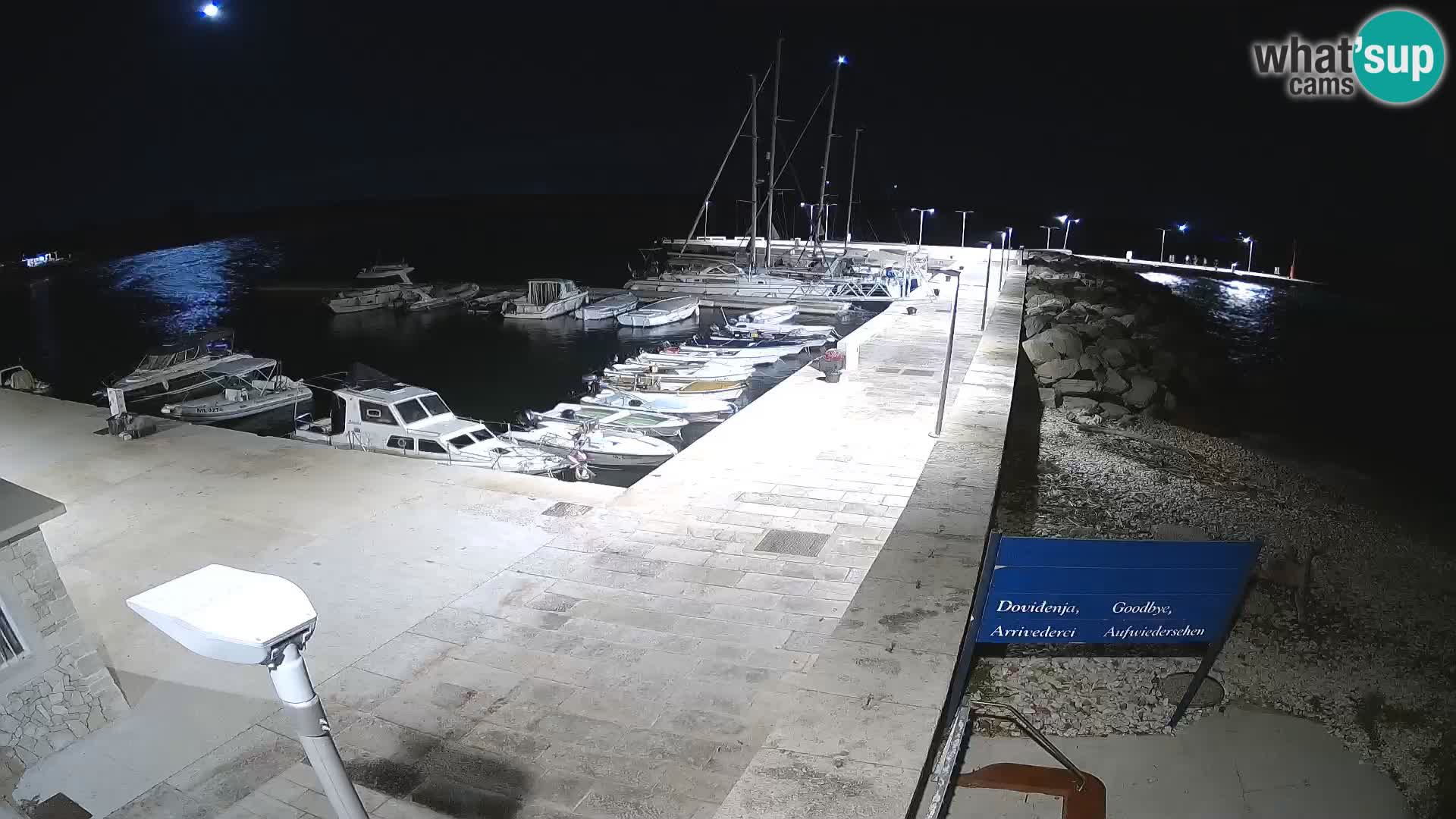 Webcam Isola di Unije – Esplora la bellezza della gemma nascosta della Croazia