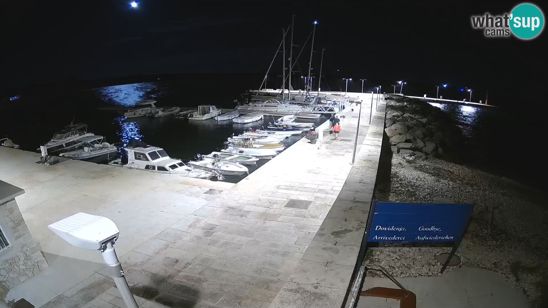 Cámara web de la isla de Unije: explore la belleza de la joya escondida de Croacia