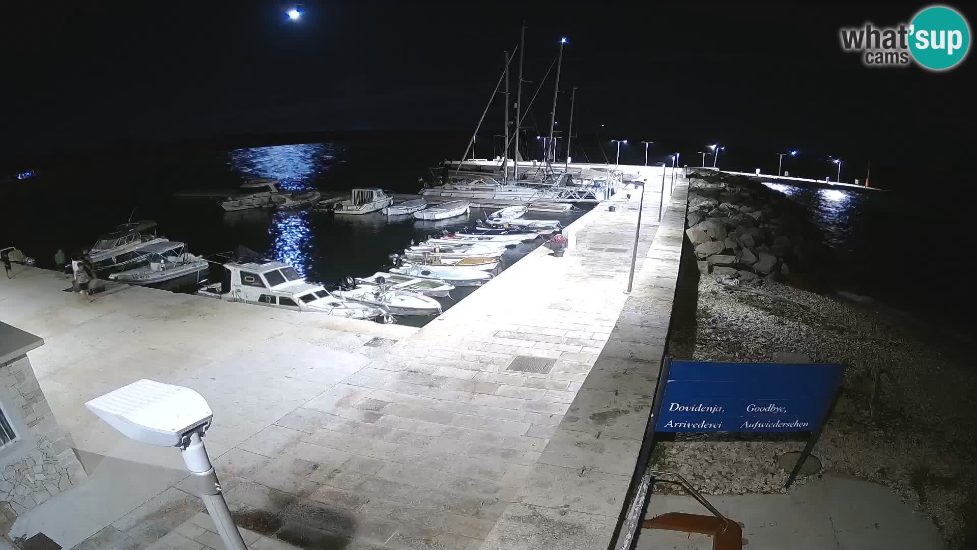 Webcam de l’île d’Unije – Explorez la beauté du joyau caché de la Croatie