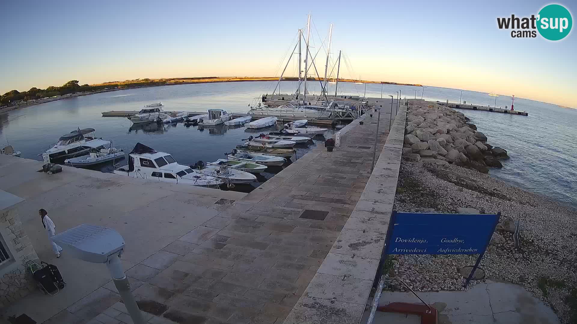 Cámara web de la isla de Unije: explore la belleza de la joya escondida de Croacia