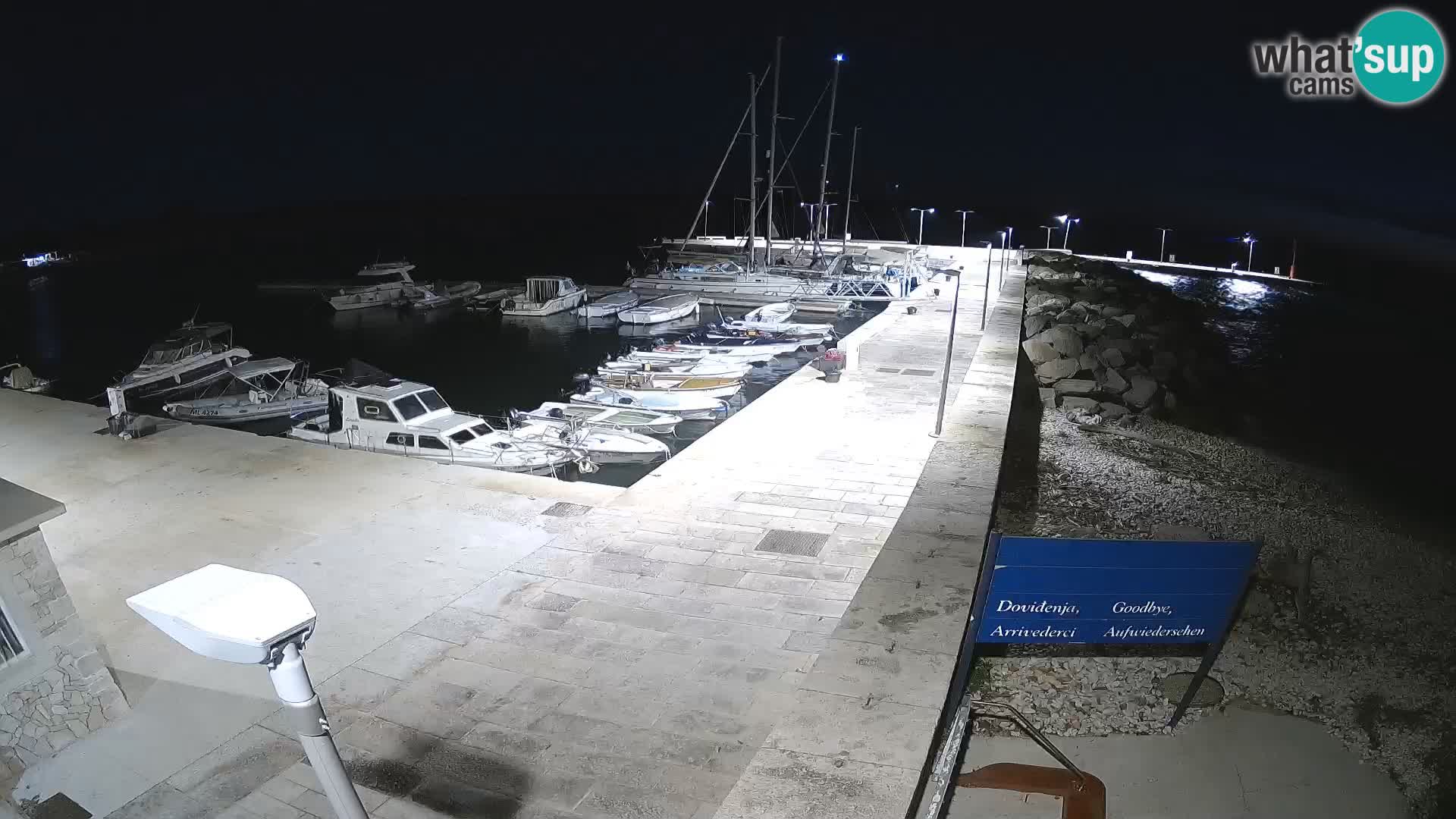 Cámara web de la isla de Unije: explore la belleza de la joya escondida de Croacia