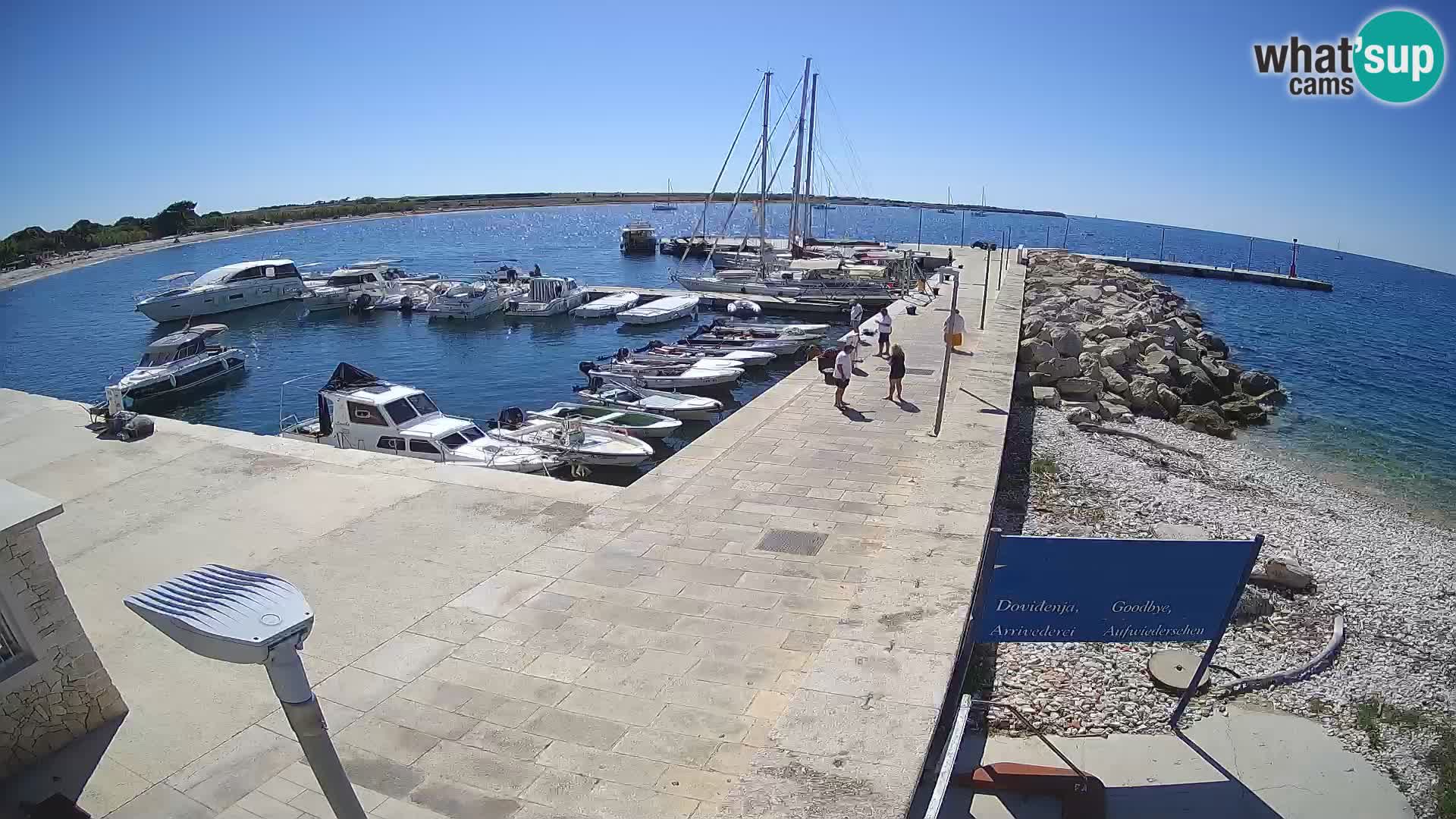 Webcam Isola di Unije – Esplora la bellezza della gemma nascosta della Croazia