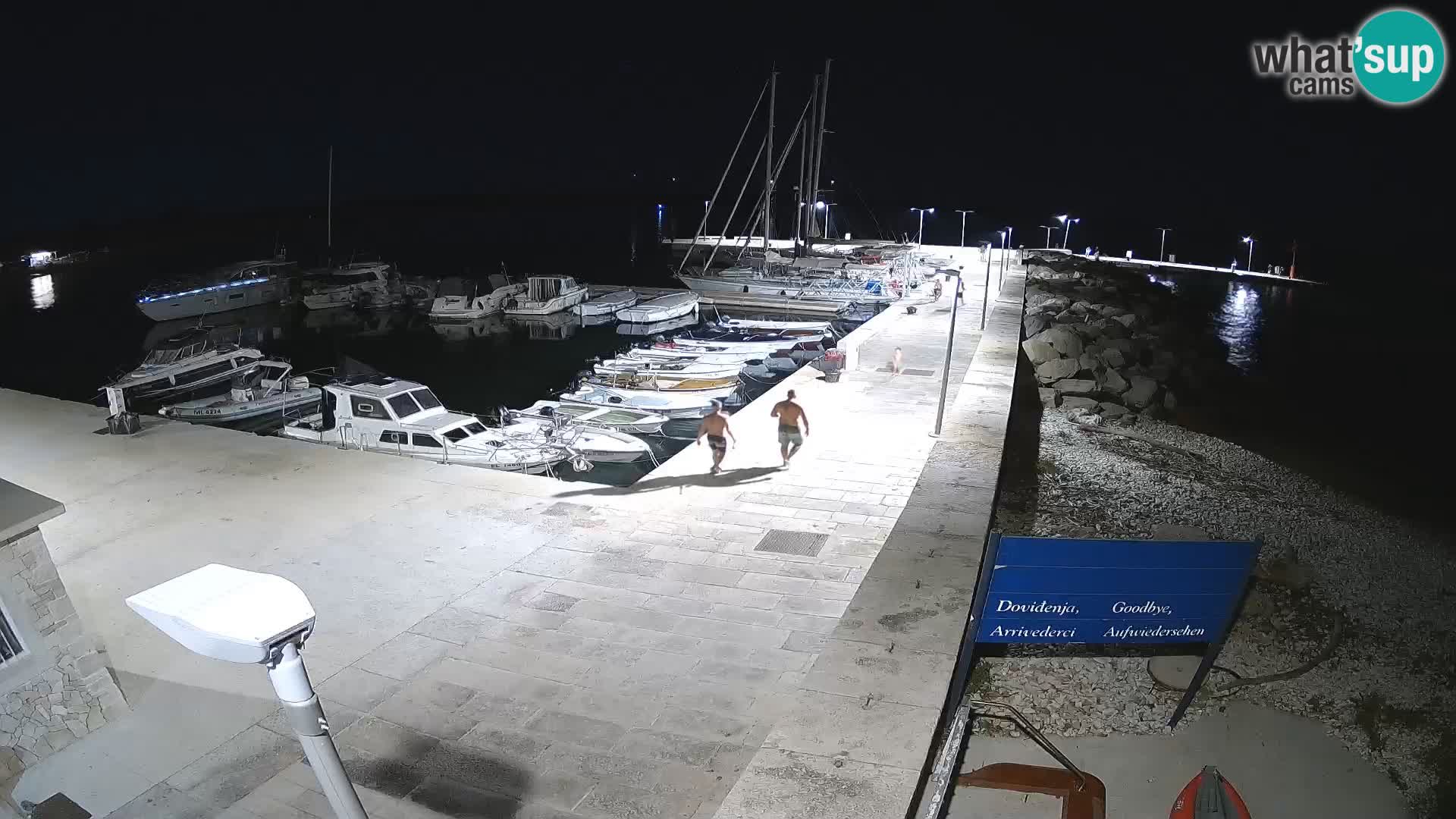 Webcam de l’île d’Unije – Explorez la beauté du joyau caché de la Croatie