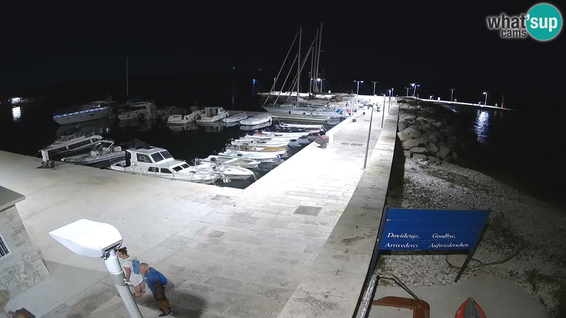 Webcam Isola di Unije – Esplora la bellezza della gemma nascosta della Croazia
