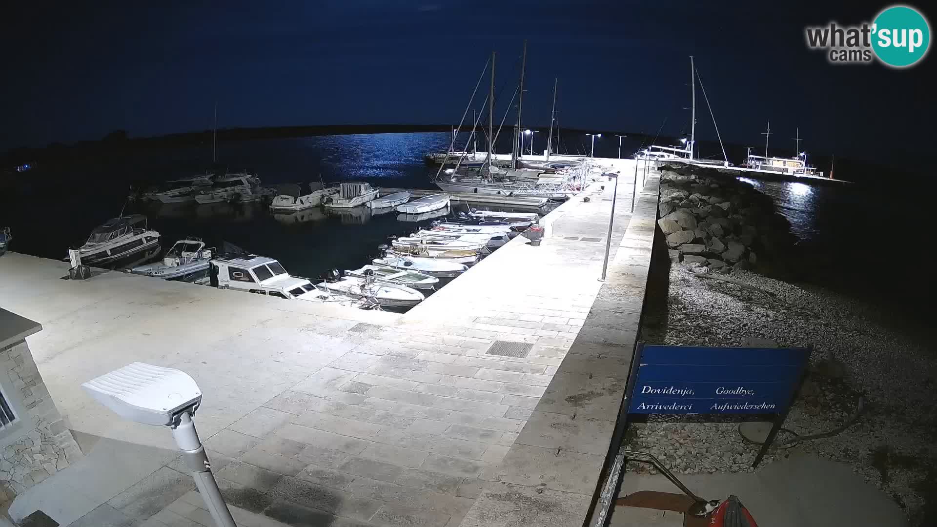 Cámara web de la isla de Unije: explore la belleza de la joya escondida de Croacia