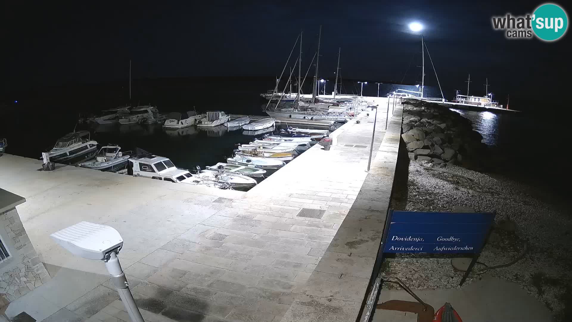 Cámara web de la isla de Unije: explore la belleza de la joya escondida de Croacia
