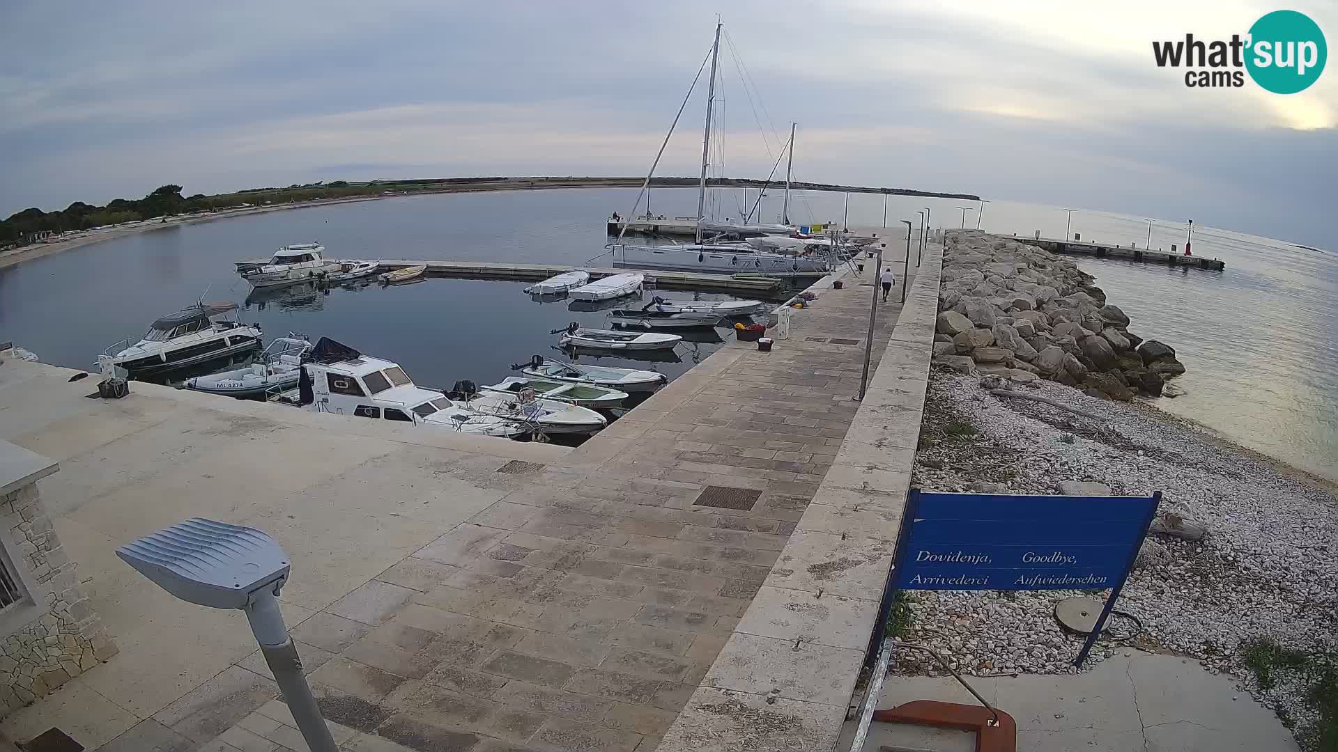 Webcam Isola di Unije – Esplora la bellezza della gemma nascosta della Croazia