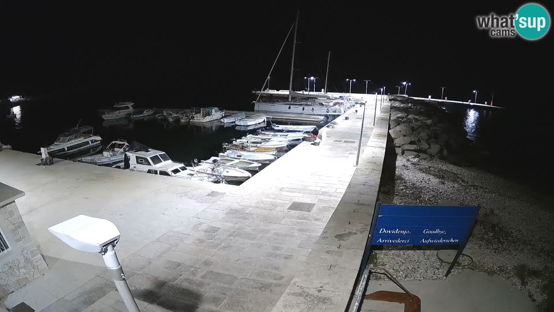 Webcam Isola di Unije – Esplora la bellezza della gemma nascosta della Croazia