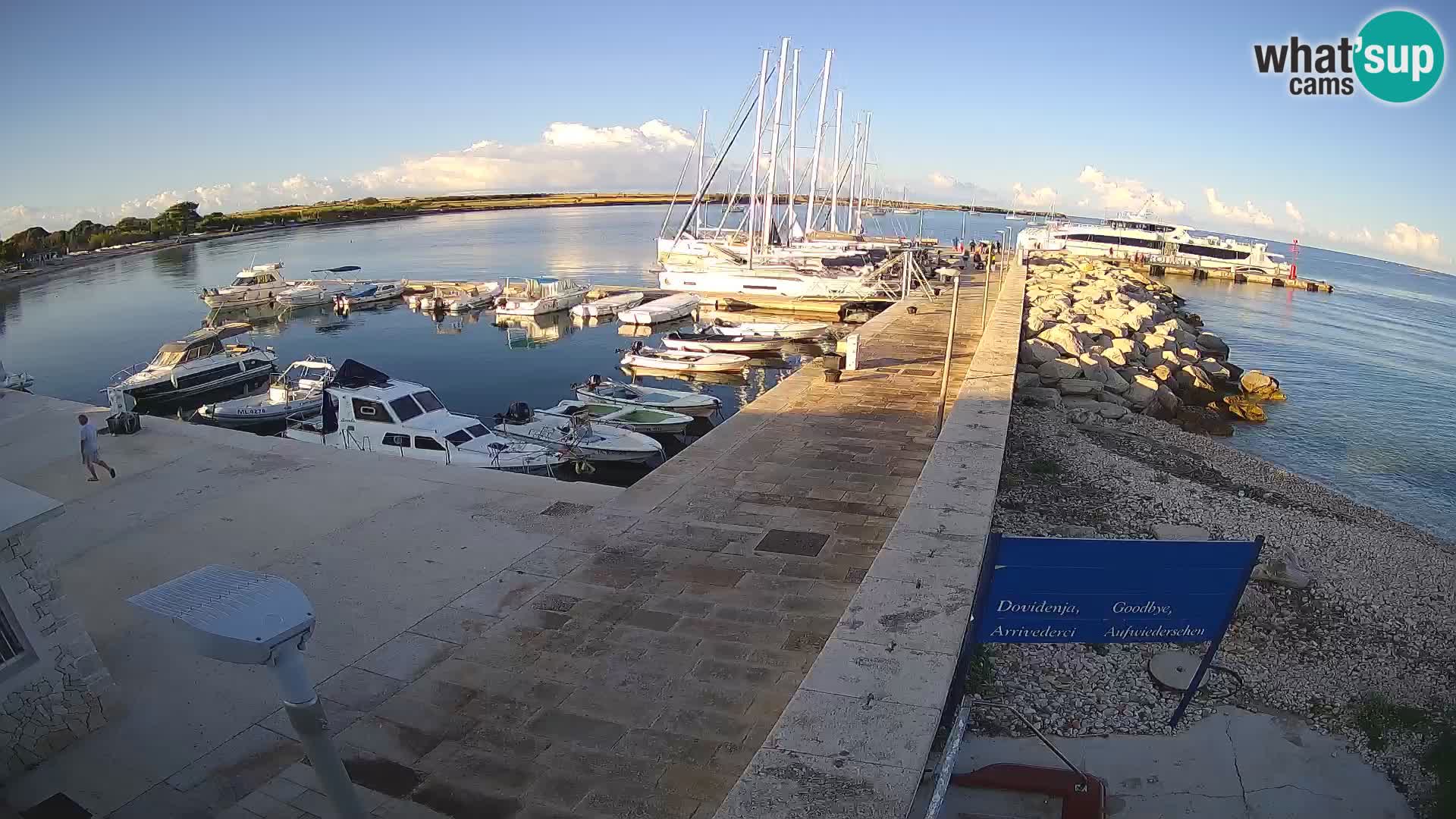Webcam Isola di Unije – Esplora la bellezza della gemma nascosta della Croazia