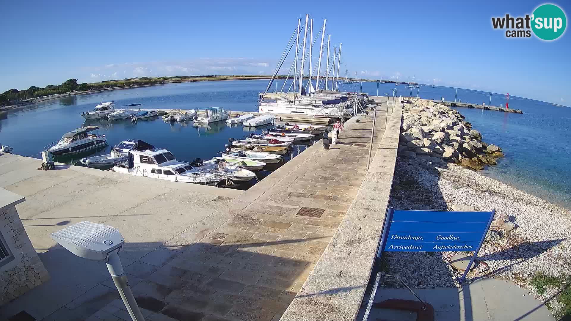 Cámara web de la isla de Unije: explore la belleza de la joya escondida de Croacia