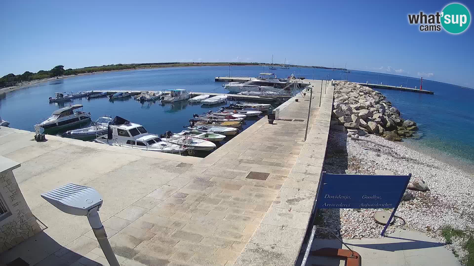 Webcam Isola di Unije – Esplora la bellezza della gemma nascosta della Croazia