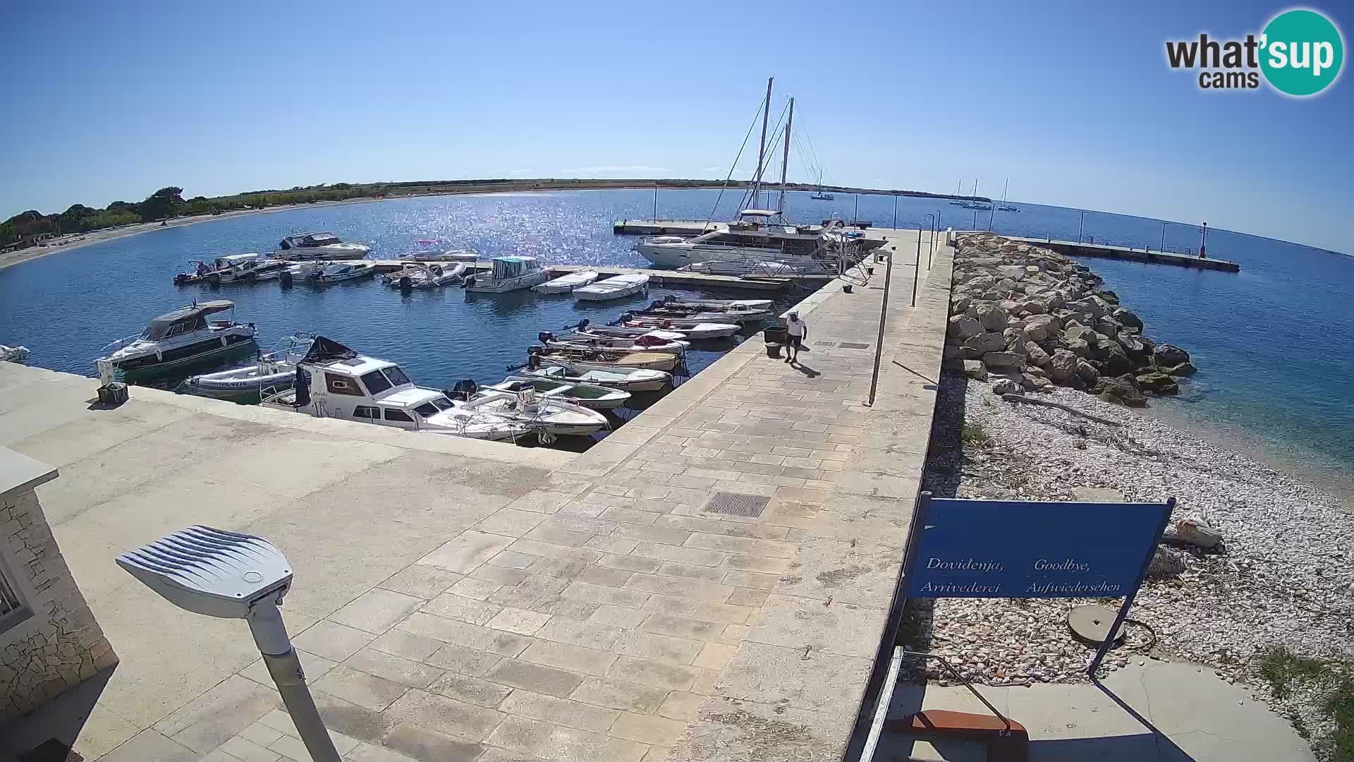Cámara web de la isla de Unije: explore la belleza de la joya escondida de Croacia