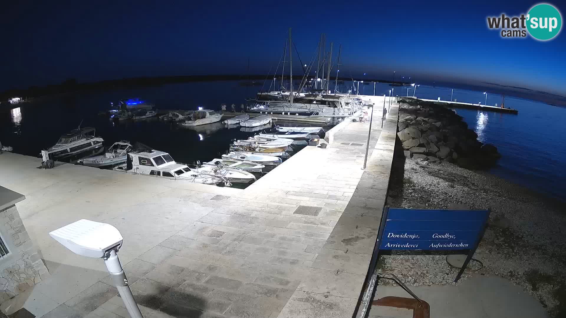 Webcam de l’île d’Unije – Explorez la beauté du joyau caché de la Croatie