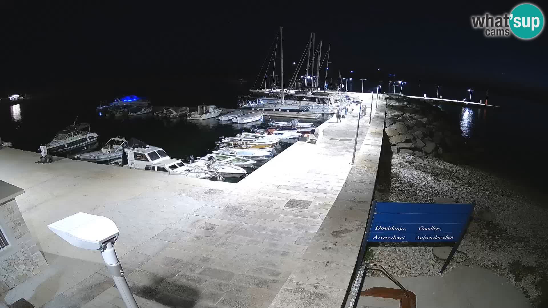 Cámara web de la isla de Unije: explore la belleza de la joya escondida de Croacia