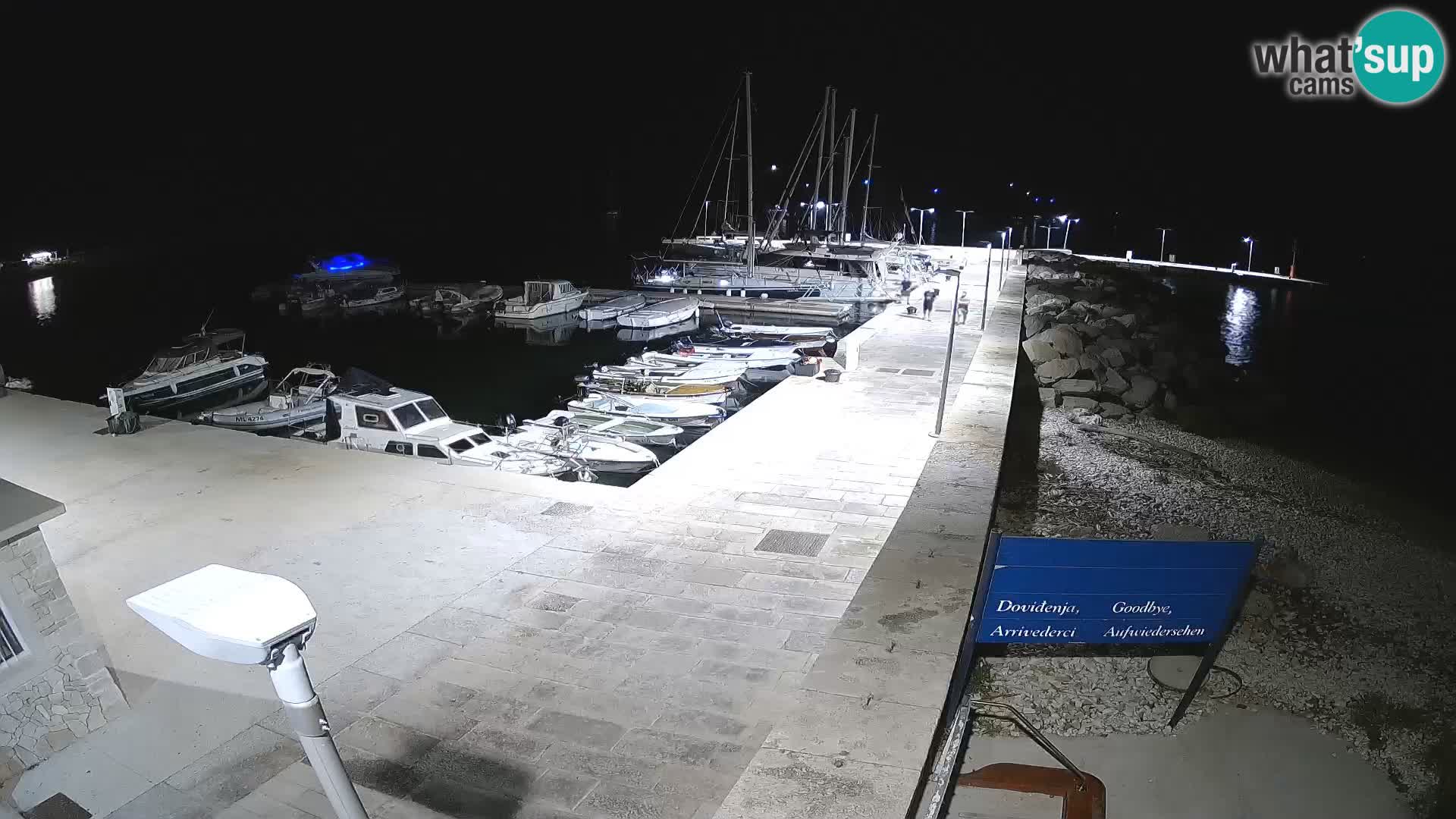 Cámara web de la isla de Unije: explore la belleza de la joya escondida de Croacia