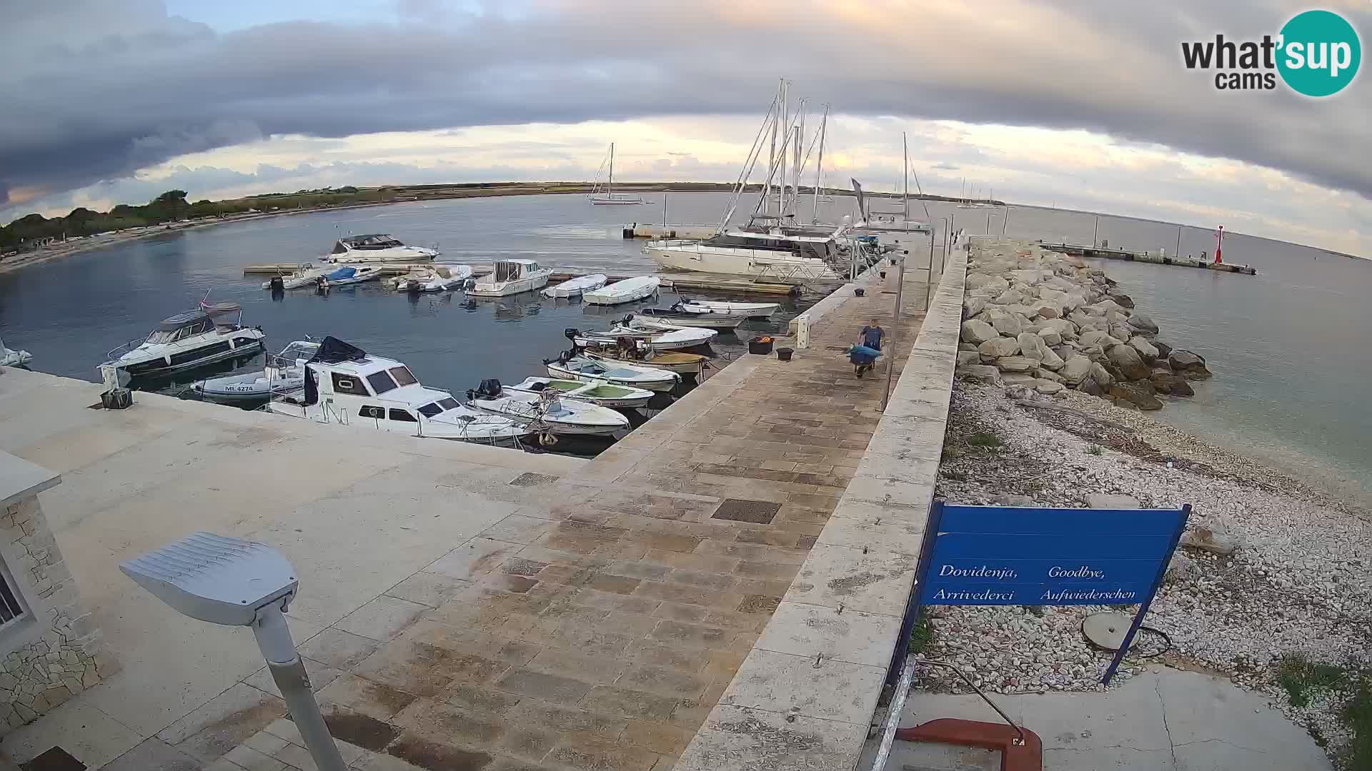 Cámara web de la isla de Unije: explore la belleza de la joya escondida de Croacia