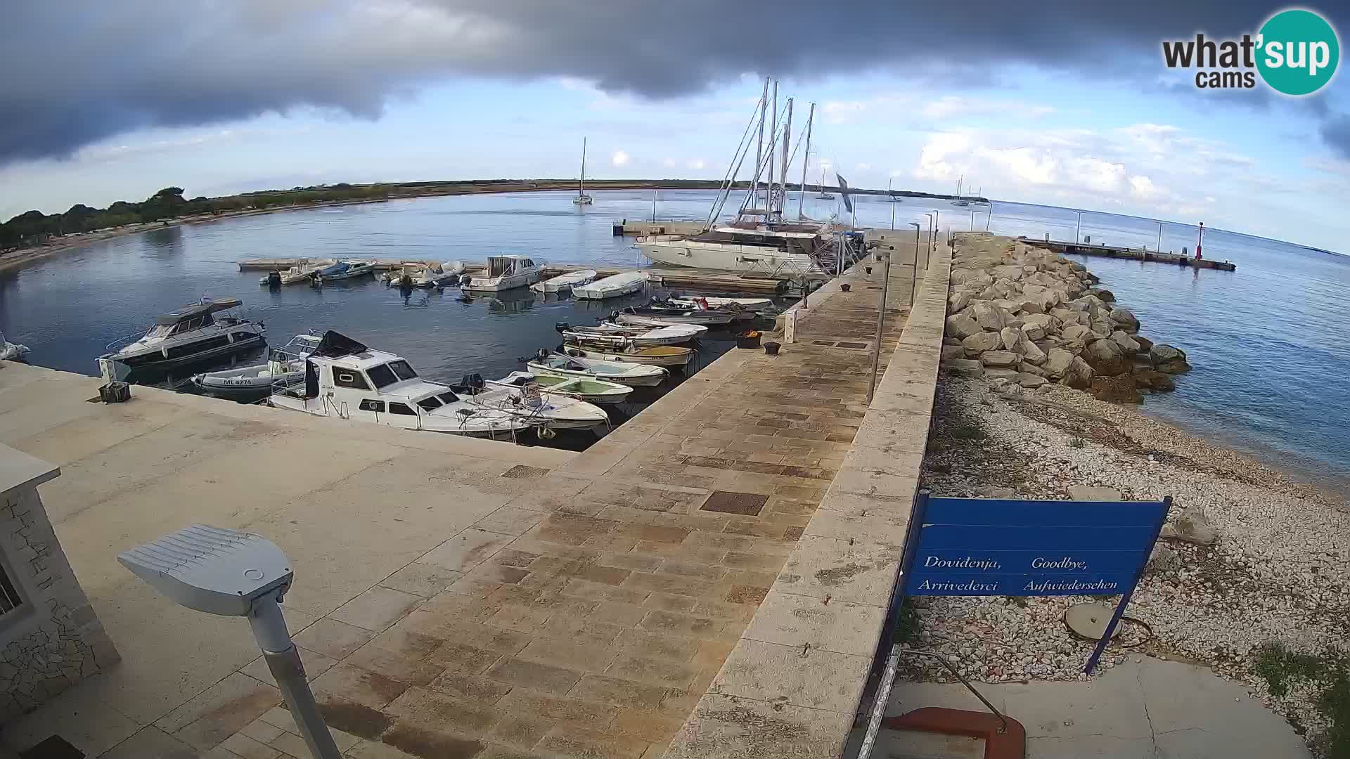 Cámara web de la isla de Unije: explore la belleza de la joya escondida de Croacia