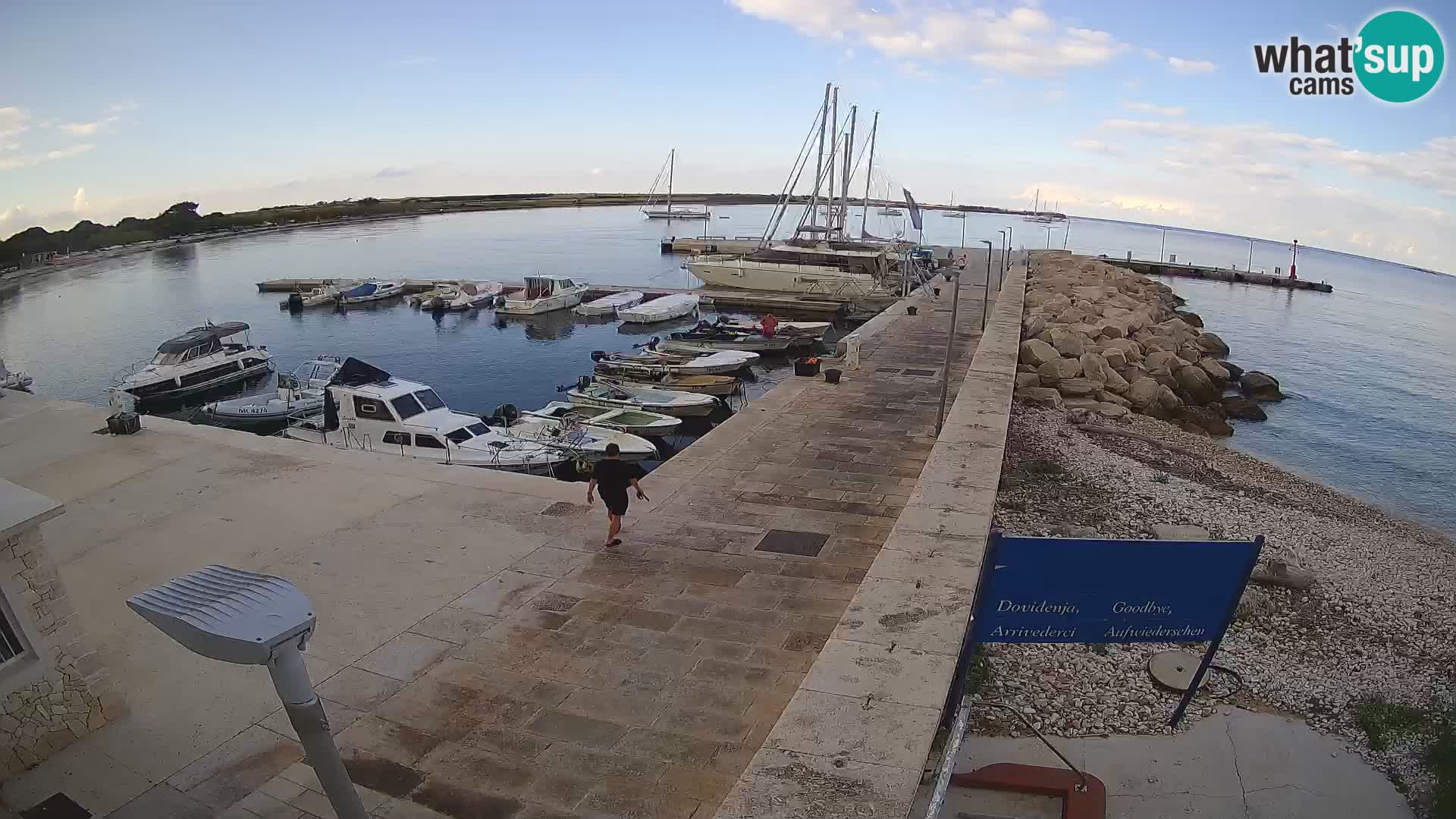 Webcam de l’île d’Unije – Explorez la beauté du joyau caché de la Croatie