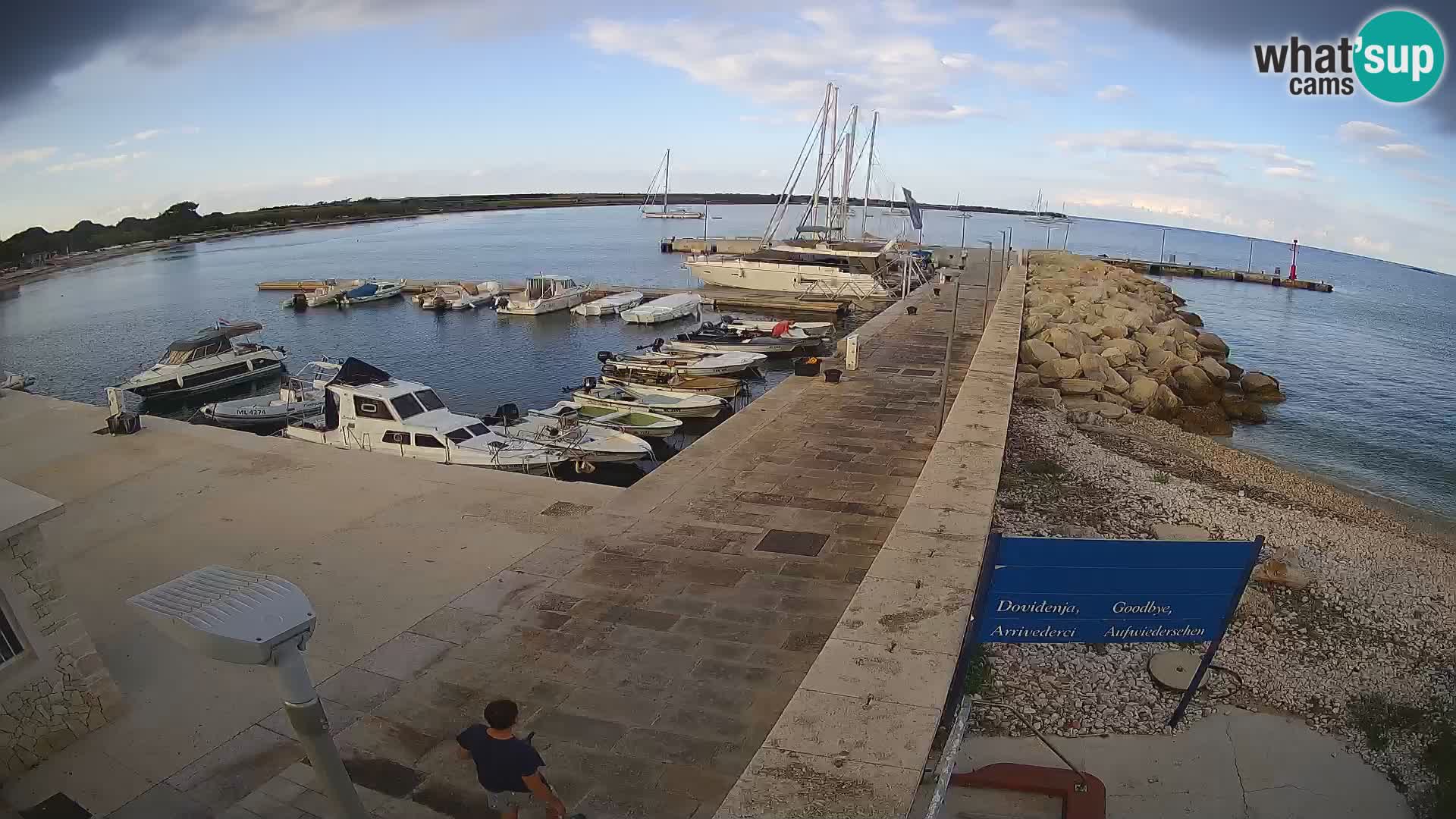 Webcam Isola di Unije – Esplora la bellezza della gemma nascosta della Croazia